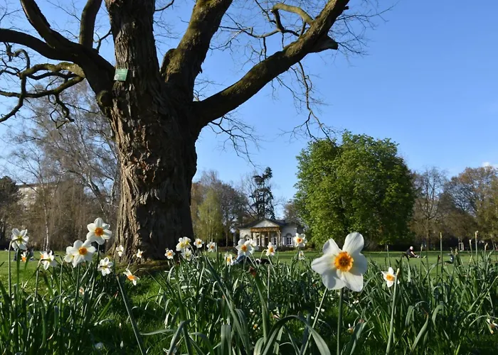 Apartment Sleep & Go Stadt-appartement